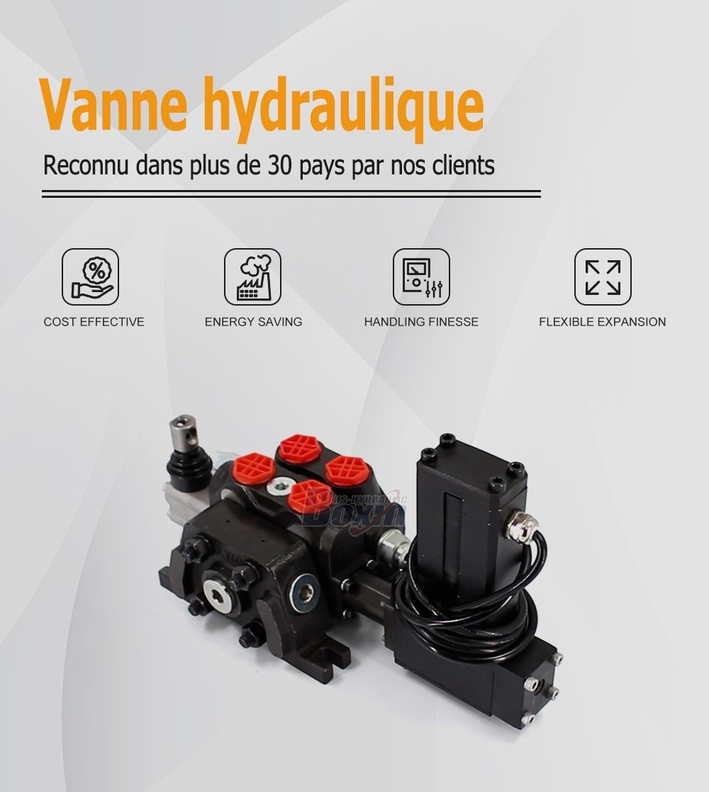 DCV60 Moteur électrique 1 tiroir Distributeur directionnel sectionnel